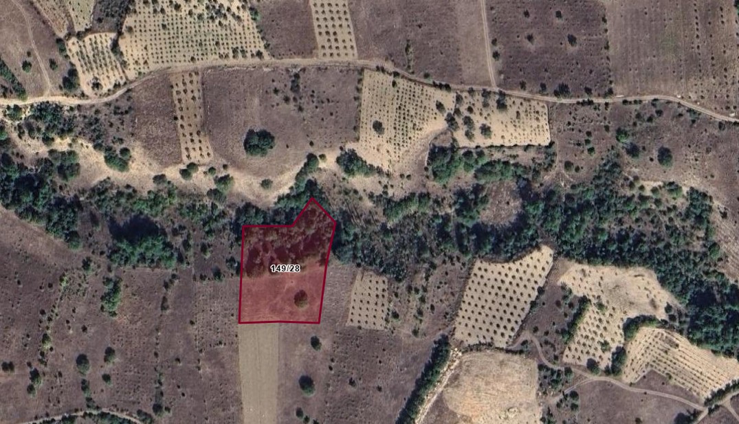 Fotoğraf